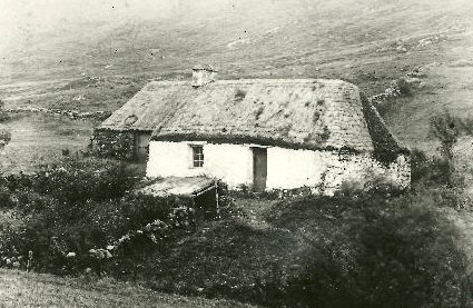 thatching a roof